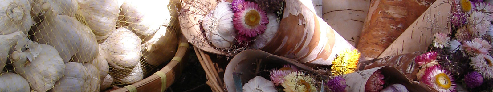 30th Annual Hills Garlic Festival